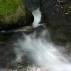 名水 白川水源の水量