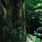 龍頭峡　谷の道