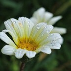 雨はいつまで続くのか
