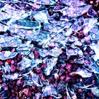 enigma