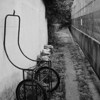 路上観察