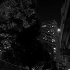 大阪　中之島