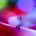 crystal
