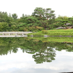 初秋の日本庭園6