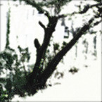 WHITE NOISE (06)