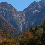 山は紅葉