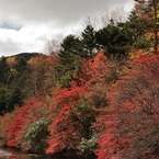 湖岸の彩り