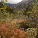 岳沢湿原