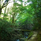 六甲山の山道