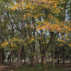 P1013775