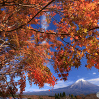 富士と紅葉