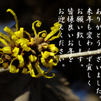 年末のご挨拶9