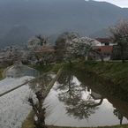 2015ABC春季、三多気-1
