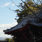 太山寺〜山門の屋根