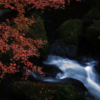大滝渓谷2009⑫