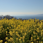 吾妻山公園_06