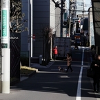 午前の日射し