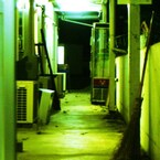 昨日の夢