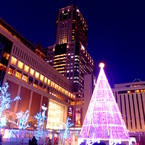 STELLAR　PLACE　sapporo