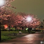 オオカン夜咲くら～ⅳ