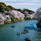 南風に流されて