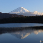ＦＵＪＩで撮る富士