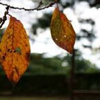 DSC03600