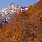 雪と紅葉
