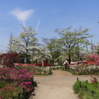 平成つつじ公園4
