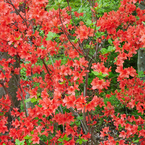saturated colors　#06