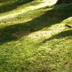 IMGP0115