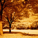 GARDEN INFRARED (05)