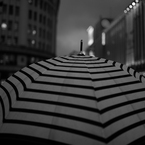 Light Rain
