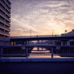 いつもの橋より