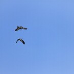 碧空でＬＯＶＥ～①
