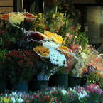 Flower_Shop