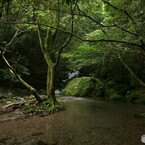 嵯峨川上流④