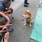 浅草寺／四万六千日・ほおずき市⑦