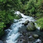 早朝