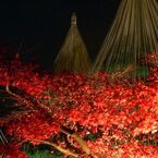 兼六園５