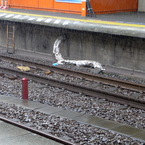（強）雨のステイション　その1