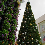 YOKOHAMA MOTOMACHI