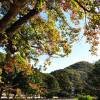 宇賀神社　神池・・・