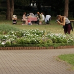 花撮る人