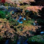 龍門橋からの紅葉