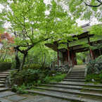７月に行った常寂光寺。