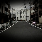 真昼の道