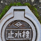 苔