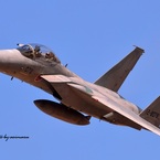2019岐阜航空祭　F-15