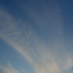DSC00304